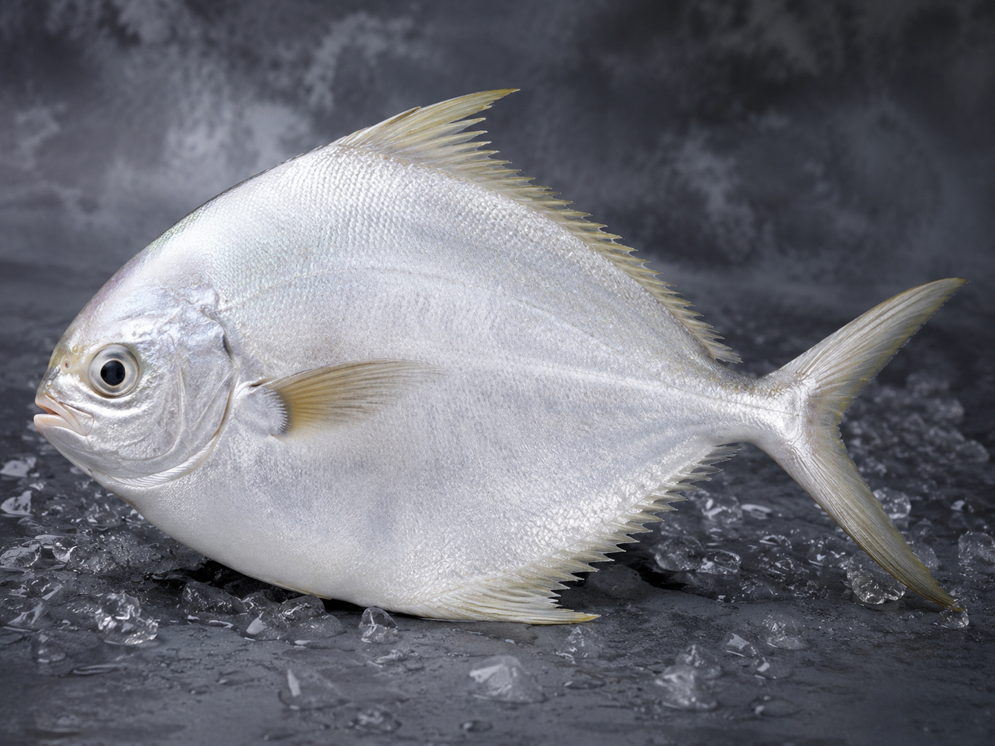 White Pomfret (200g)