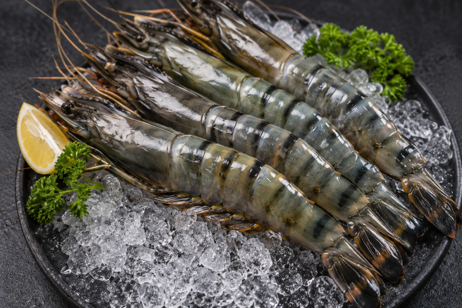 Sea Tiger Prawns