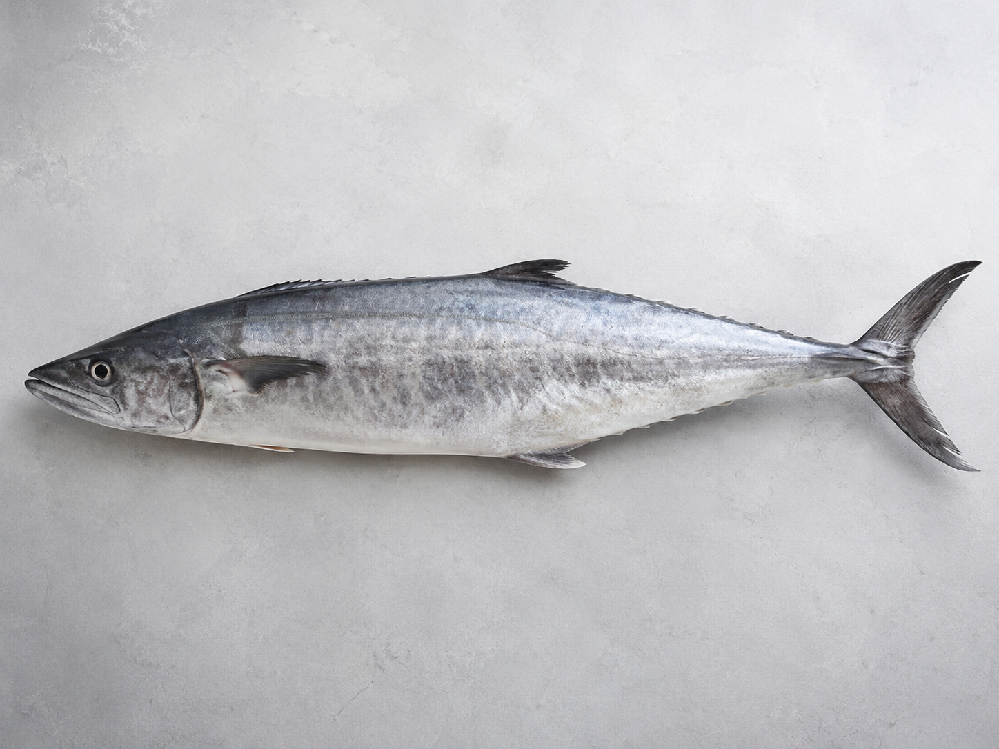 Vanjaram / Seer Fish